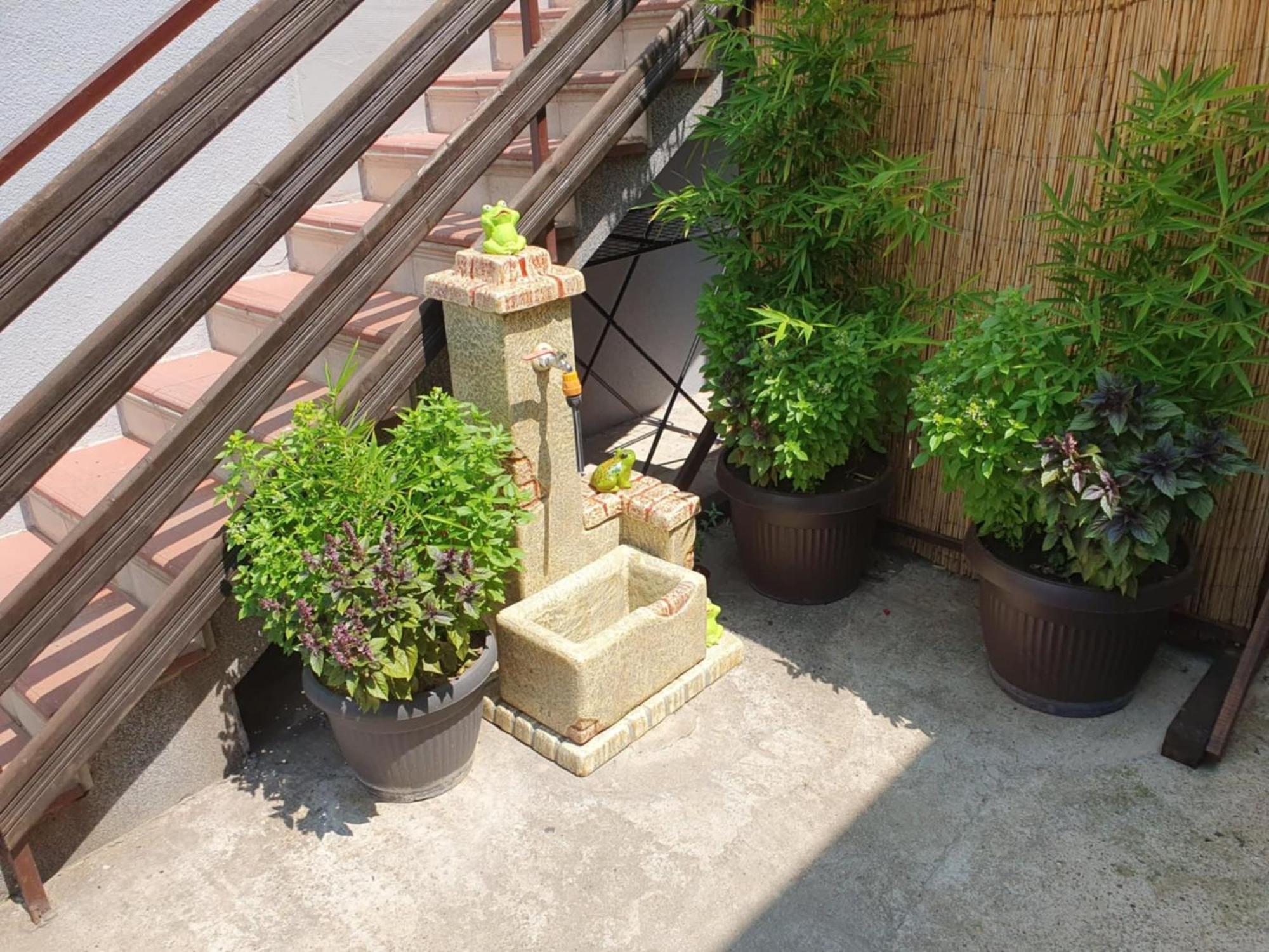 Apartman Djokic 3 Požarevac エクステリア 写真